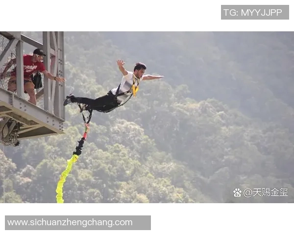 杭州极限运动队引领速度革命探讨极限运动的未来发展与挑战